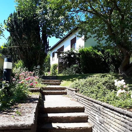 Gruene Oase Und Trotzdem Zentral Διαμέρισμα Χάμελν Εξωτερικό φωτογραφία
