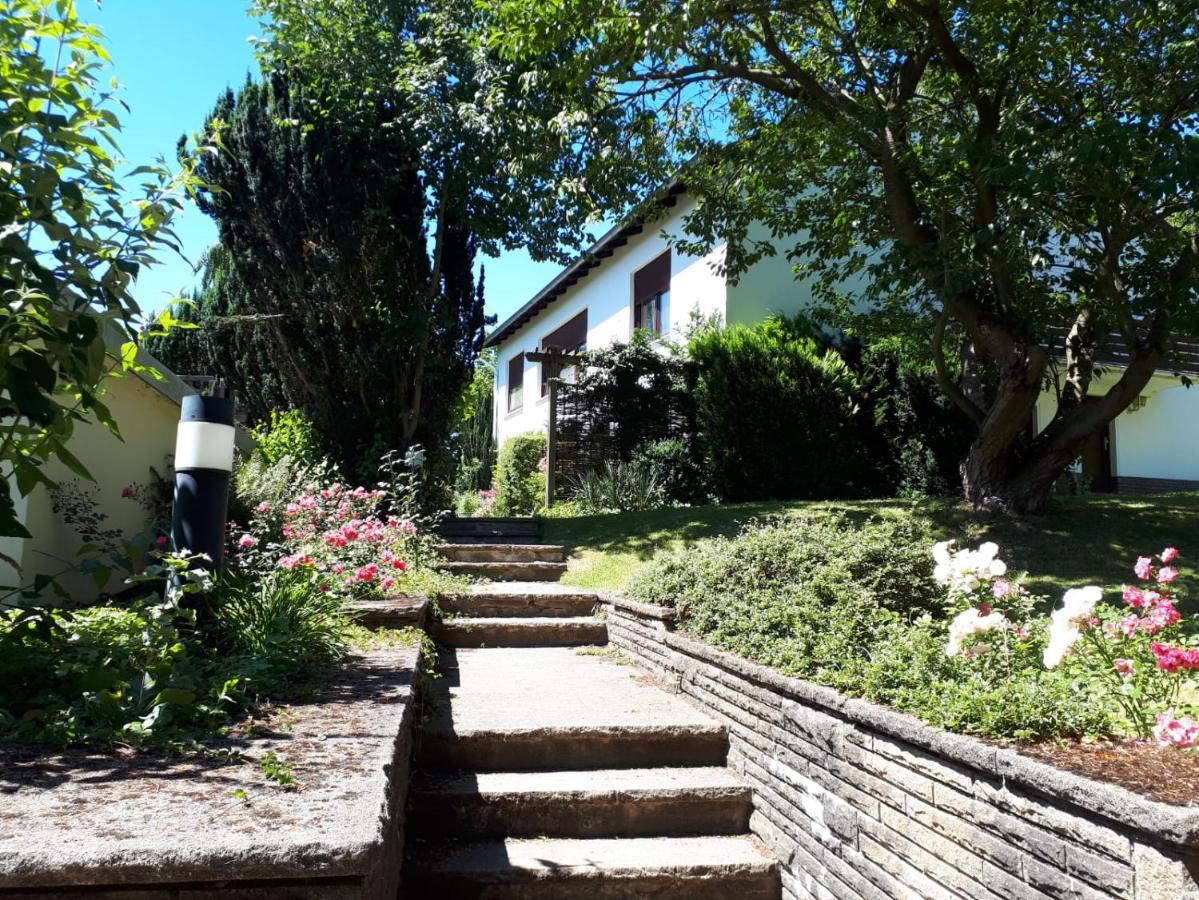 Gruene Oase Und Trotzdem Zentral Διαμέρισμα Χάμελν Εξωτερικό φωτογραφία